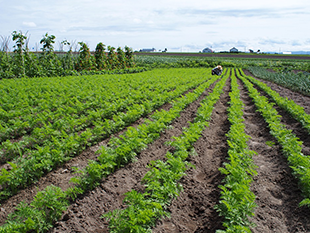 日々のようす（会員専用）のイメージ